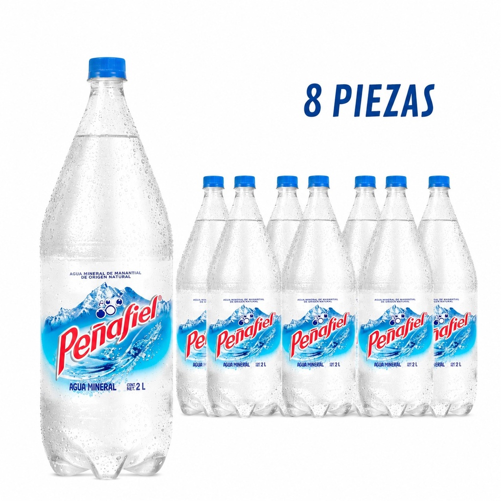 PEÑAFIEL NATURAL 2 LT